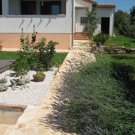 Mit Ueberdachter Terrasse Und Pool Hébergement de vacances *